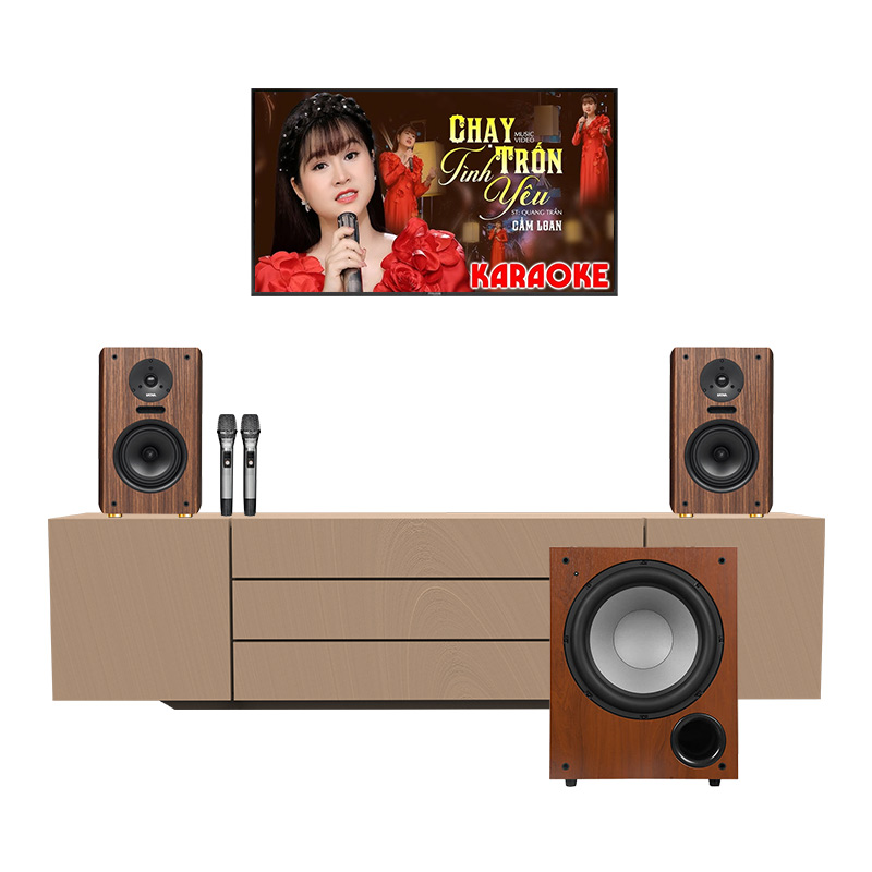 karaoke mini